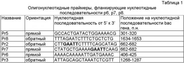 Рекомбинантные днк, обеспечивающие получение полипептидов р6, р7, р8, обладающих протективными свойствами в отношении streptococcus agalactiae и селективно-связывающих iga (патент 2387715)