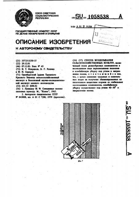 Способ возделывания сельскохозяйственных культур (патент 1058538)