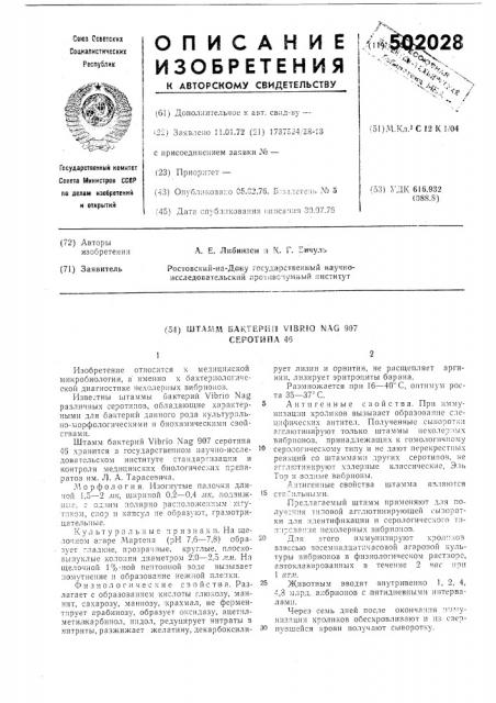 Штамм бактерий 907 серотипа 46 (патент 502028)