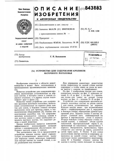 Устройство для содержания кроликовматочного поголовья (патент 843883)