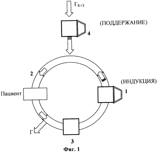 Способ управления ингаляционным наркозом (патент 2383362)