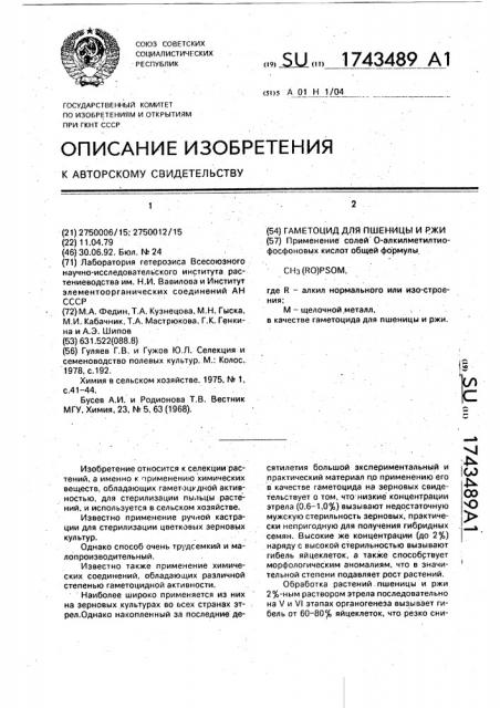Гаметоцид для пшеницы и ржи (патент 1743489)