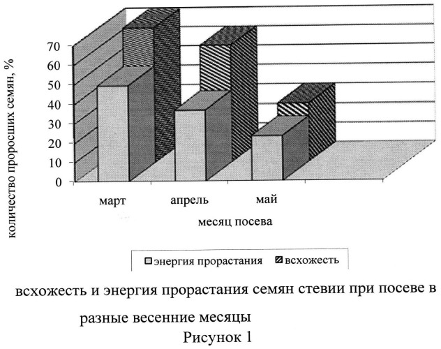 Способ получения рассады стевии из семян (патент 2536915)