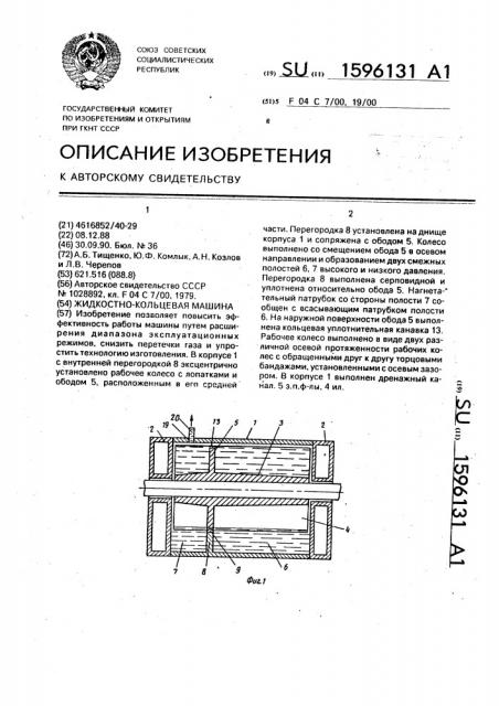 Жидкостно-кольцевая машина (патент 1596131)