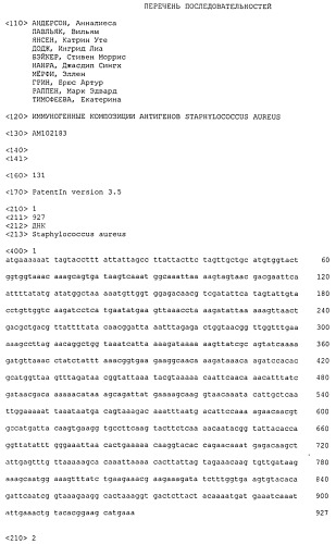 Иммуногенные композиции антигенов staphylococcus aureus (патент 2536981)