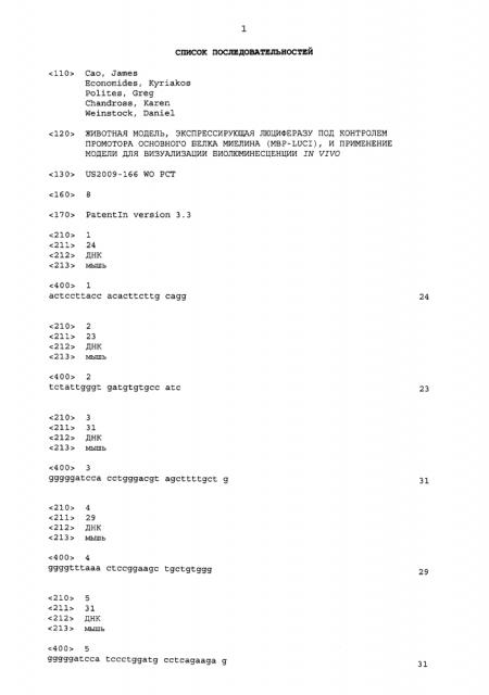 Животная модель, экспрессирующая люциферазу под контролем промотора основного белка миелина (mbp-luci), и применение модели для визуализации биолюминесценции in vivo (патент 2601128)