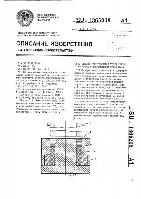 Способ изготовления углеродного коллектора с контактными элементами (патент 1365208)