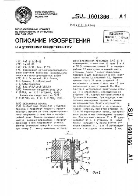 Скважинная печать (патент 1601366)