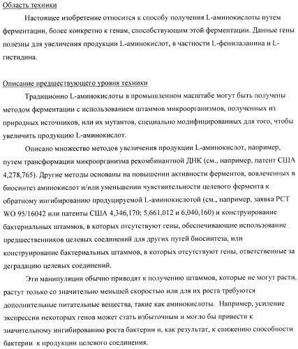 Способ получения аминокислот с использованием бактерии, принадлежащей к роду escherichia (патент 2396336)