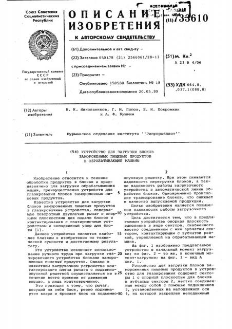 Устройство для загрузки блоков замороженных пищевых продуктов и обрабатывающие машины (патент 733610)