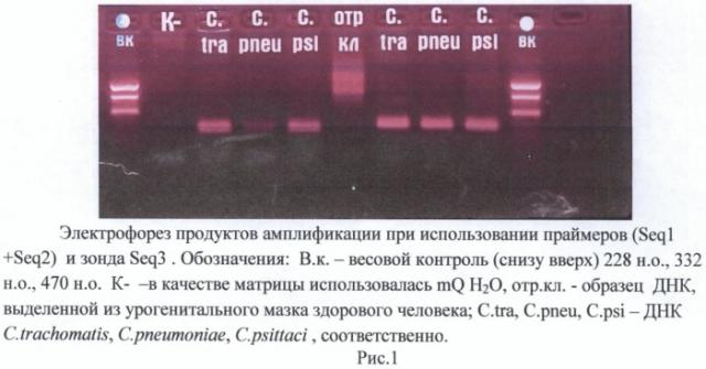Олигонуклеотиды и способ определения днк бактерий, относящихся к семейству chlamydiaceae (патент 2486255)