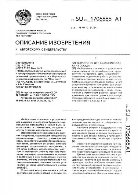 Устройство для удаления осадка из сосуда (патент 1706665)