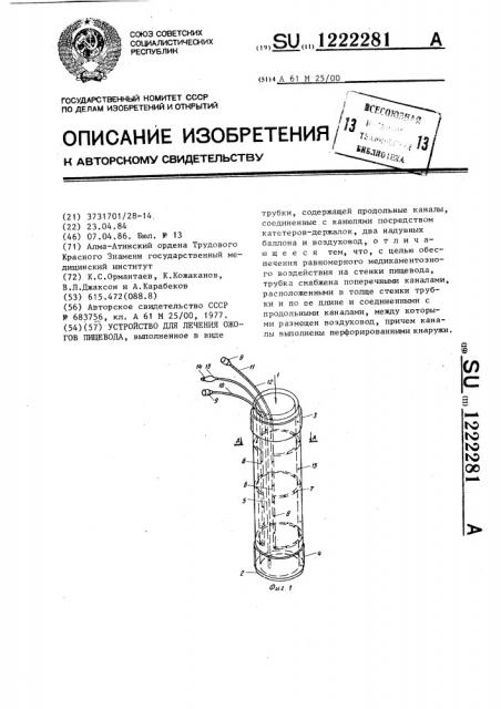 Устройство для лечения ожогов пищевода (патент 1222281)