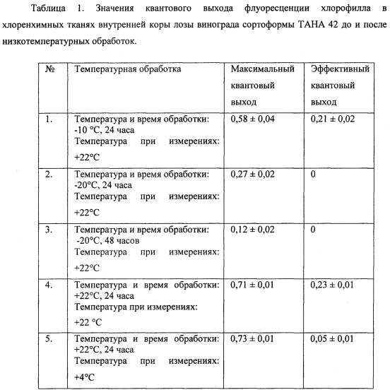 Способ определения морозостойкости винограда (патент 2653016)