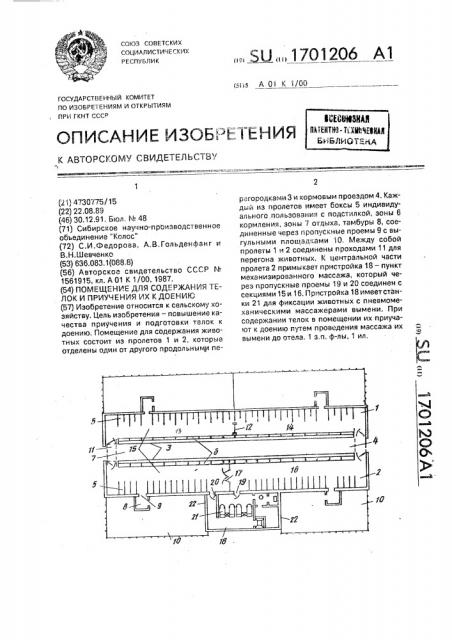 Помещение для содержания телок и приучения их к доению (патент 1701206)