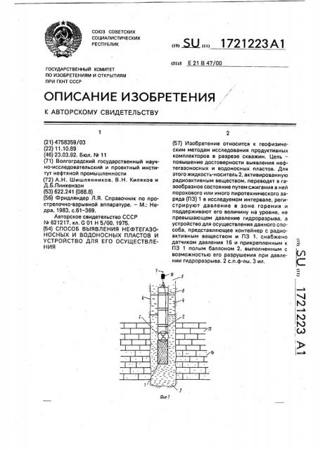 Способ выявления нефтегазоносных и водоносных пластов и устройство для его осуществления (патент 1721223)