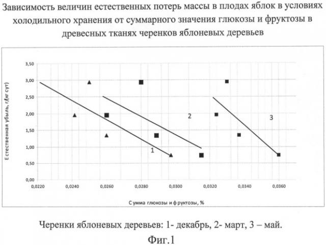 Способ прогнозирования хранения плодово-ягодной продукции (варианты) (патент 2485754)