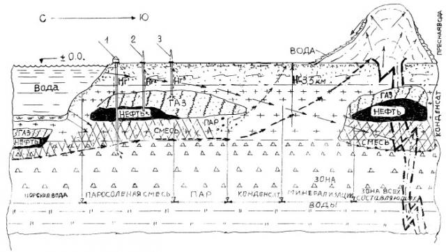 Способ получения углеводородов - нефти и газа и их количества (патент 2513782)