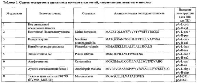 Способ получения антитела, специфически связывающего домен димеризации экзоклеточной части онкобелка her2/neu, в растении, антитело, полученное этим способом, и его применение (патент 2648161)