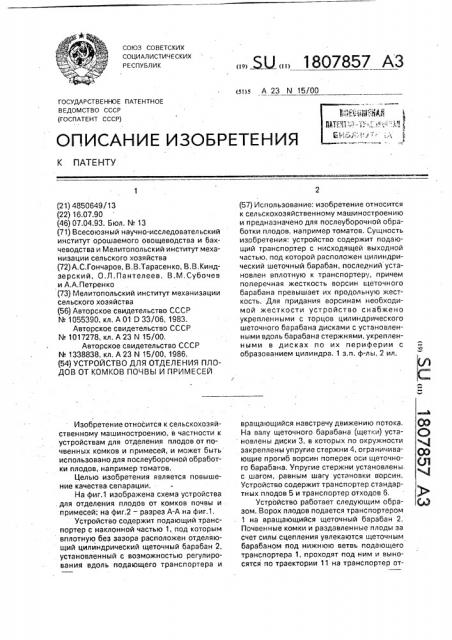 Устройство для отделения плодов от комков почвы и примесей (патент 1807857)