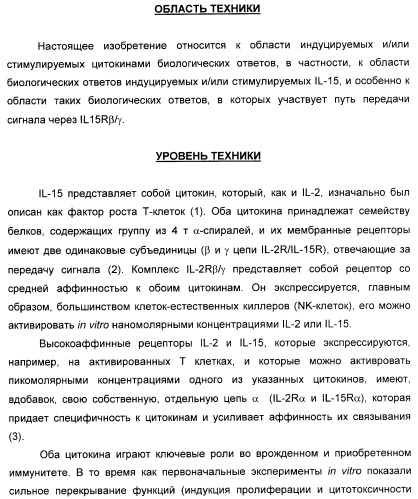 Соединение, предназначенное для стимуляции пути передачи сигнала через il-15rбета/гамма, с целью индуцировать и/или стимулировать активацию и/или пролиферацию il-15rбета/гамма-положительных клеток, таких как nk-и/или t-клетки, нуклеиновая кислота, кодирующая соединение, вектор экспрессии, клетка-хозяин, адъювант для иммунотерапевтической композиции, фармацевтическая композиция и лекарственное средство для лечения состояния или заболевания, при котором желательно повышение активности il-15, способ in vitro индукции и/или стимуляции пролиферации и/или активации il-15rбета/гамма-положительных клеток и способ получения in vitro активированных nk-и/или t-клеток (патент 2454463)