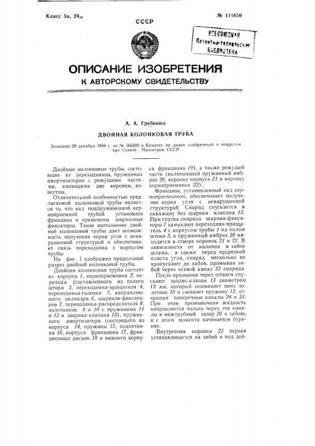 Двойная колонковая труба (патент 111650)