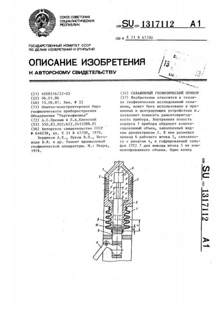 Скважинный геофизический прибор (патент 1317112)