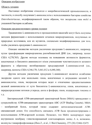 Способ получения l-треонина с использованием бактерии, принадлежащей к роду escherichia, в которой инактивирован ген msba (патент 2392313)