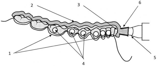 Устройство для определения подвижности зубов (патент 2626372)