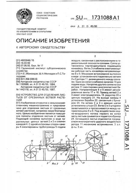 Устройство для отделения листьев от срезанных ветвей растений (патент 1731088)