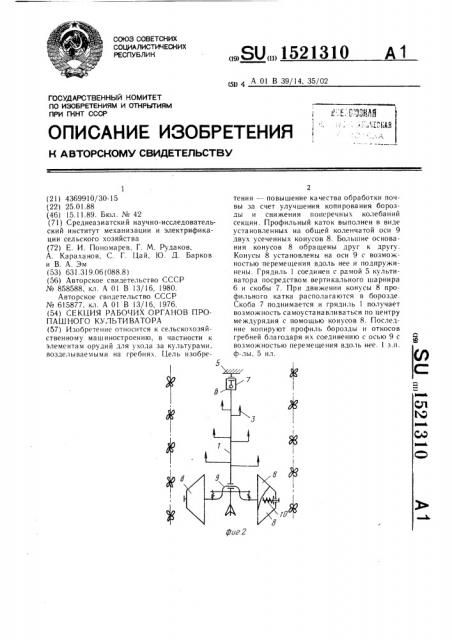 Секция рабочих органов пропашного культиватора (патент 1521310)