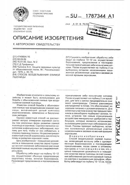Способ возделывания озимой пшеницы (патент 1787344)