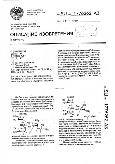 Способ получения амикацина (патент 1776262)