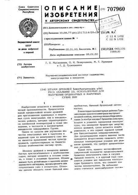 Штамм дрожжей раса ахалцихе n 23,используемый для получения ординарных и марочных вин (патент 707960)