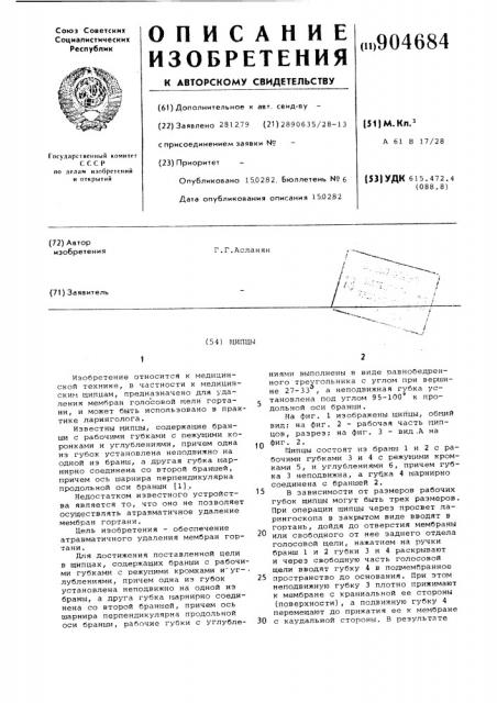 Щипцы (патент 904684)
