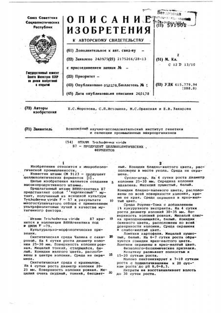 Штамм б7-продкцент целлюлолитических ферментов (патент 591502)