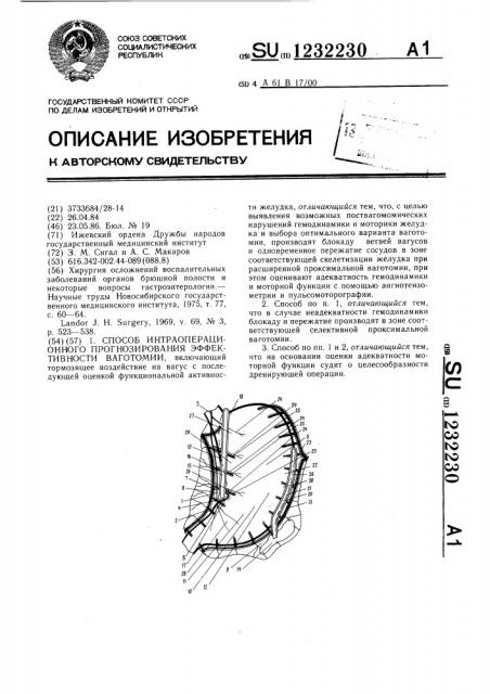 Способ интраоперационного прогнозирования эффективности ваготомии (патент 1232230)