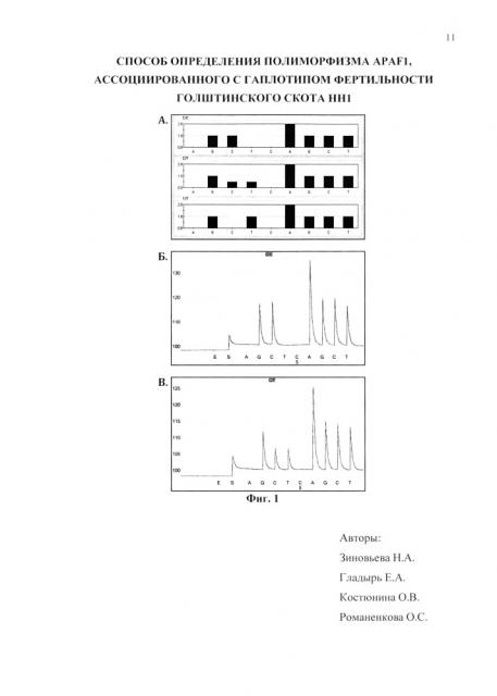 Способ определения полиморфизма apaf1, ассоциированного с гаплотипом фертильности голштинского скота hh1 (патент 2614117)