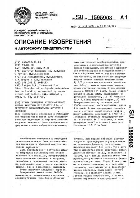 Штамм гибридных культивируемых клеток животных mus мusсulus l. продуцент моноклональных антител к инсулину (патент 1595903)