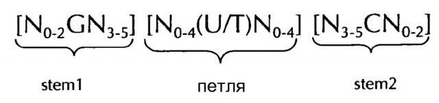 Нуклеиновая кислота, содержащая или кодирующая гистоновую структуру типа