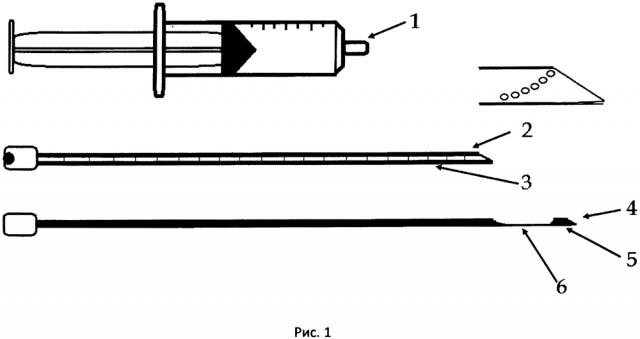 Устройство для пункционной цито-гисто биопсии злокачественных новообразований паренхиматозных органов (патент 2614217)