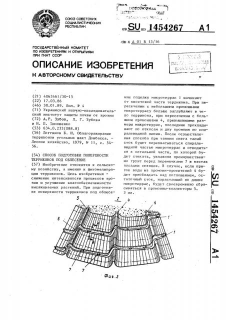 Способ подготовки поверхности терриконов под облесение (патент 1454267)