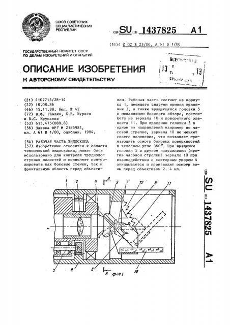 Рабочая часть эндоскопа (патент 1437825)