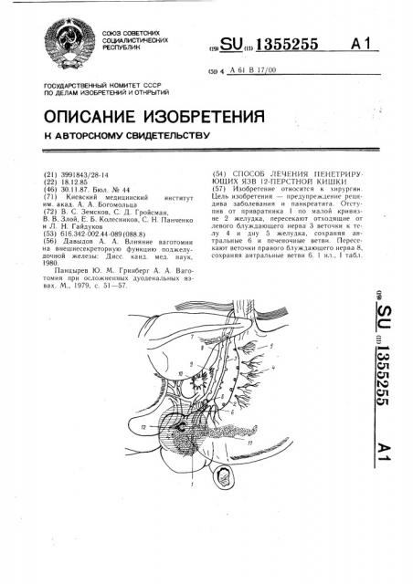 Способ лечения пенетрирующих язв 12-перстной кишки (патент 1355255)