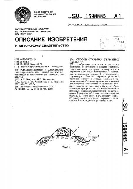 Способ открывки укрывных растений (патент 1598885)