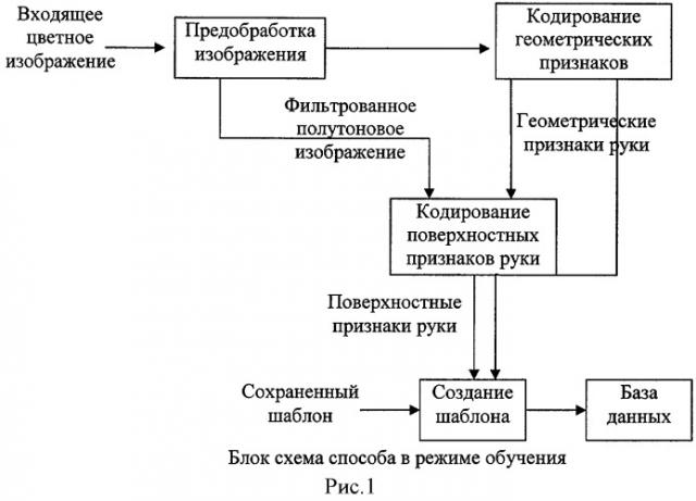 Способ и система для биометрической идентификации личности по изображению кисти руки (патент 2464634)