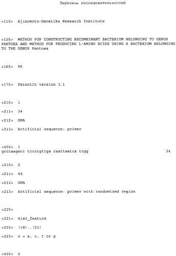 Способ конструирования рекомбинантных бактерий, принадлежащих к роду pantoea, и способ продукции l-аминокислот с использованием бактерий, принадлежащих к роду pantoea (патент 2418069)