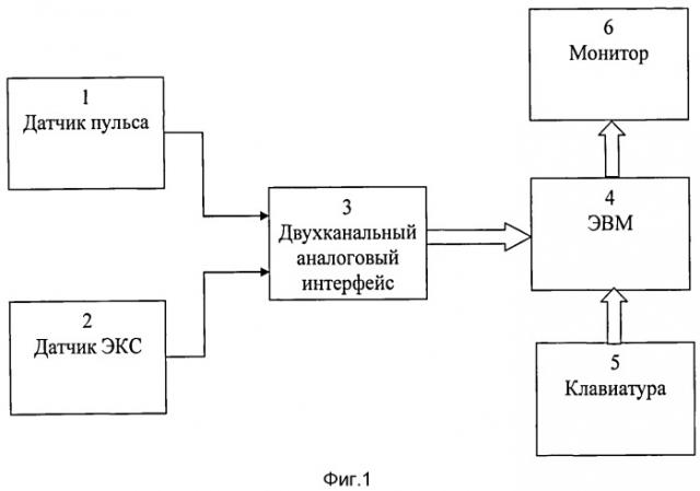 Способ формирования двумерного изображения биосигнала и его анализа (патент 2538938)