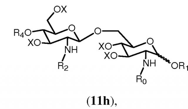 Функционализированные бета 1,6 глюкозамин-дисахариды и способ их получения (патент 2481352)