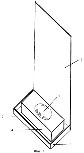 Биосенсор токсичности воздуха (патент 2381277)